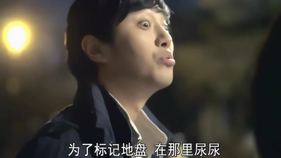 公主的华丽晚宴
