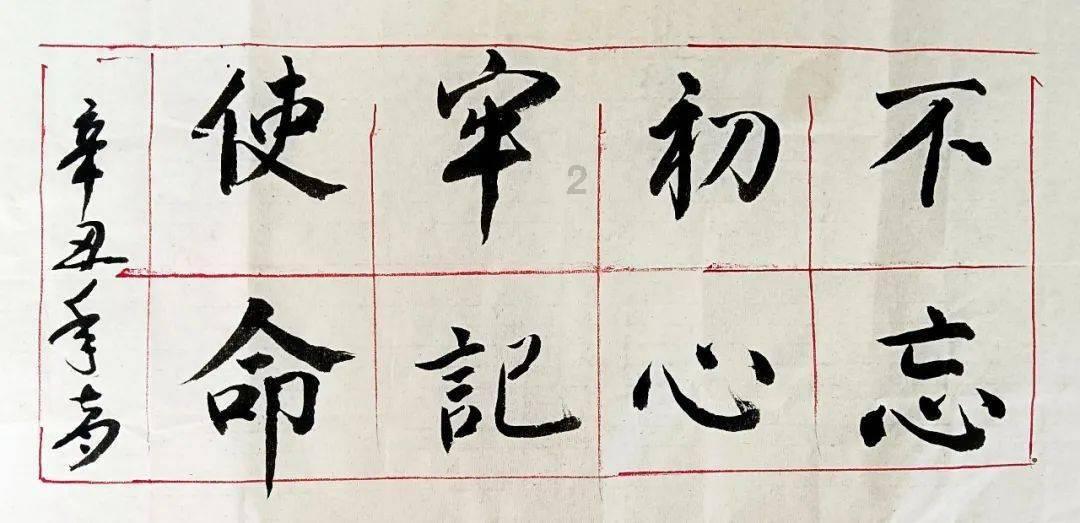 可爱小猫向上跳