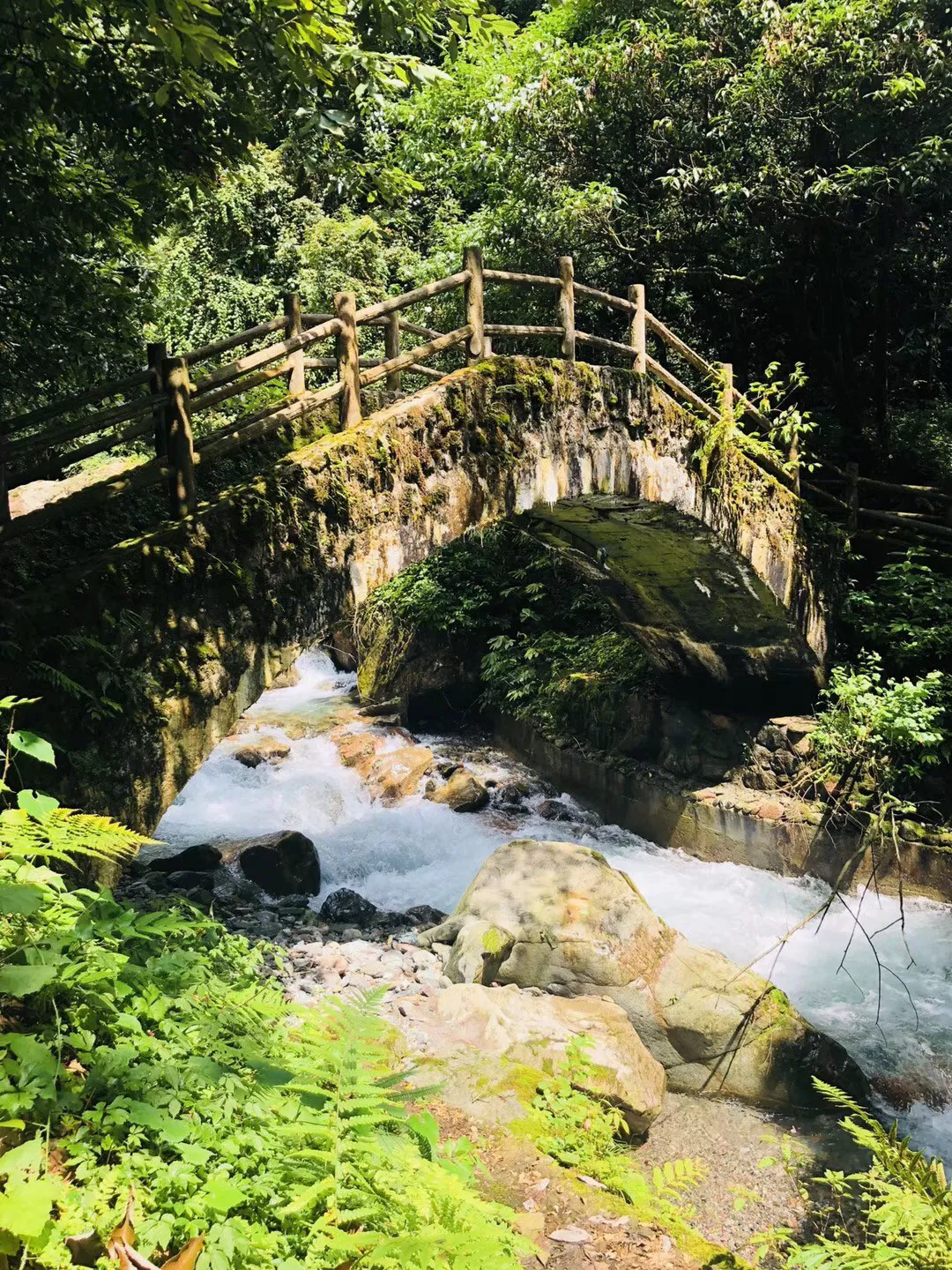 上海两会|进一步提振市场信心,推动经济持续回升向好